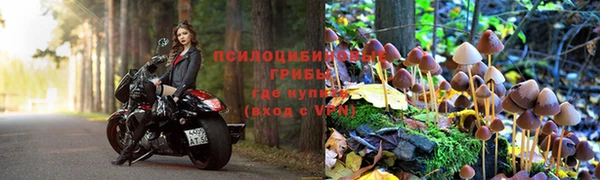 молекула духа Абаза